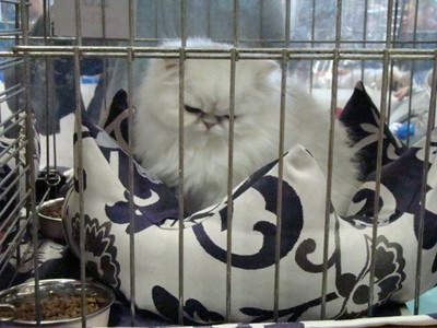 20121021_124 (Expo)